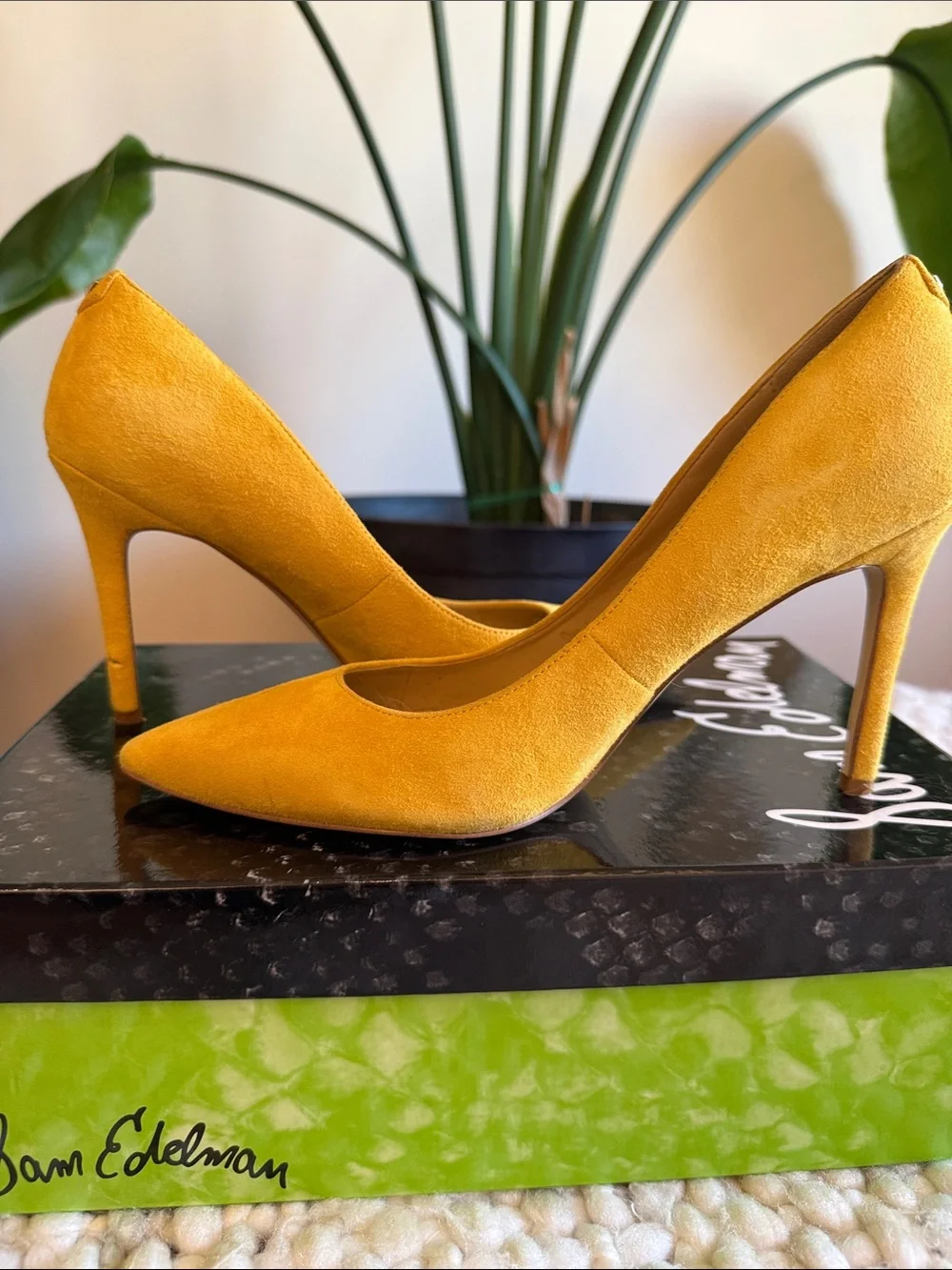 Sam Edelman stylish sam